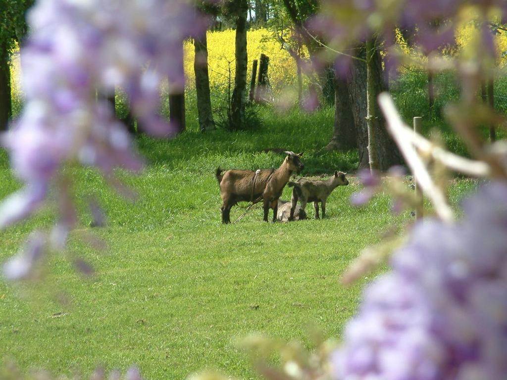 Maison Prairie Bonheur Acomodação com café da manhã Magny-les-Hameaux Quarto foto